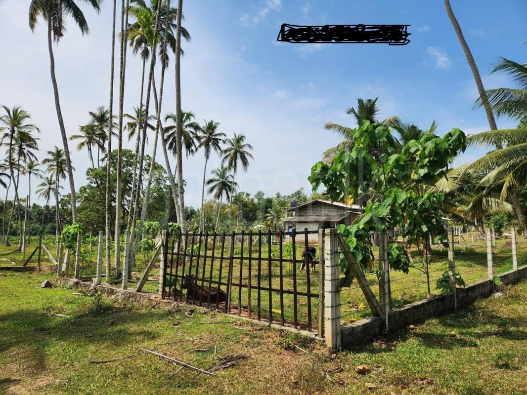 Residential Land for Sale in Negombo ads-image-1