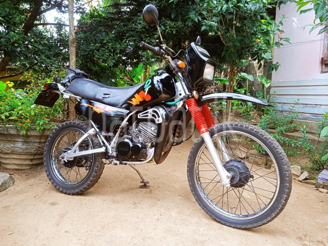 Advertisement image 2