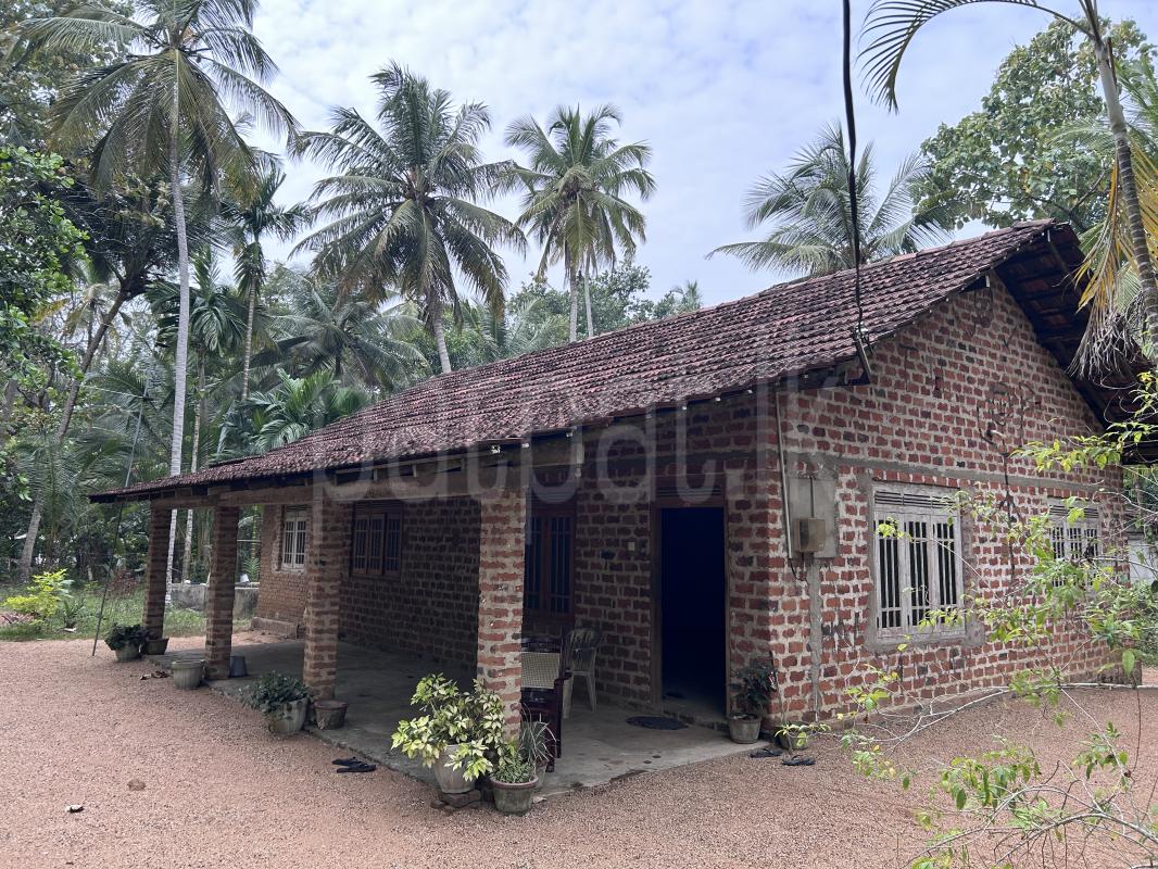 Advertisement image 11