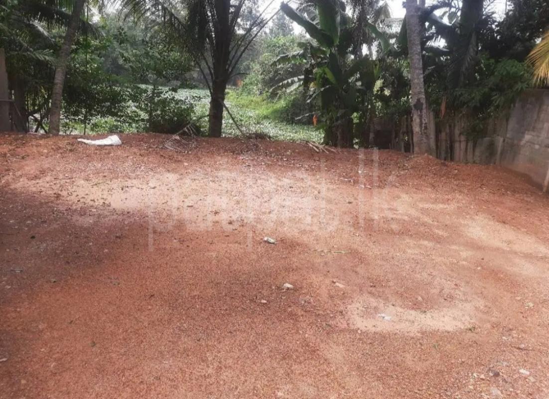 Residential Land for Sale in Avissawella ads-image-1