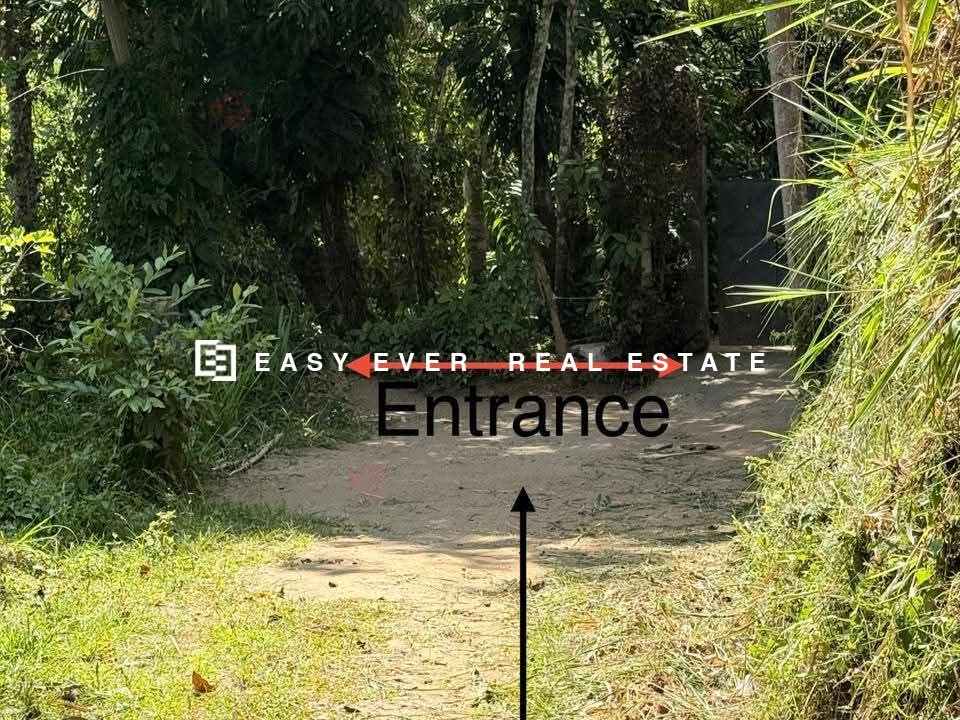 Residential Land for Sale in Nittambuwa