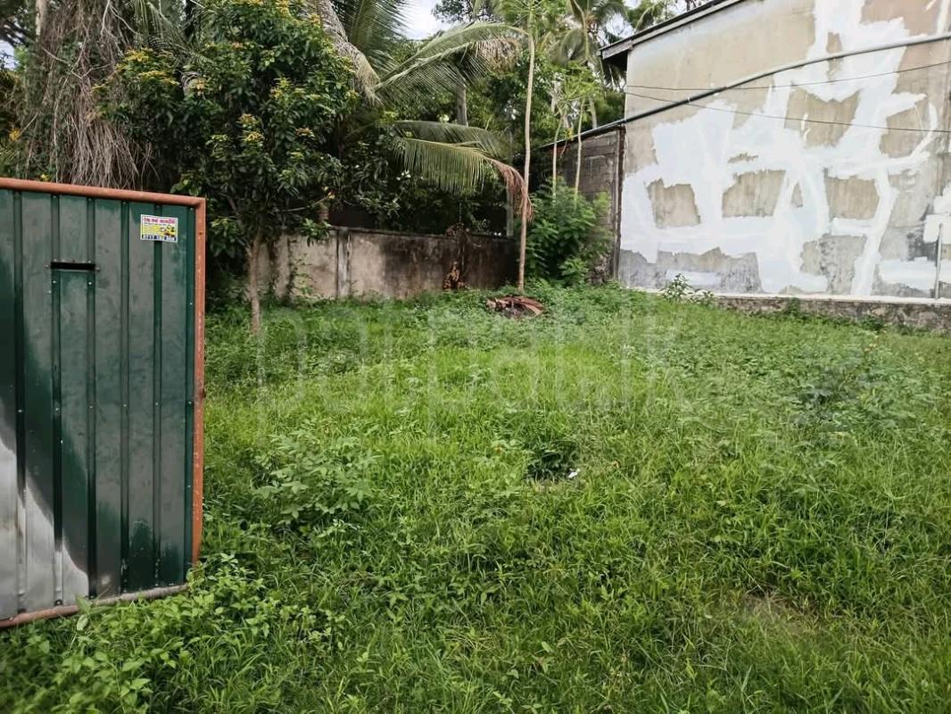 Commercial Land for Sale in Dehiwala