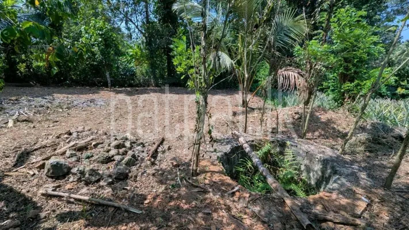 Commercial Land for Sale in Kirindiwela