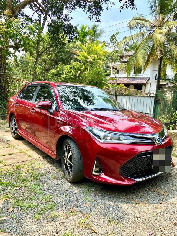 Advertisement image 4