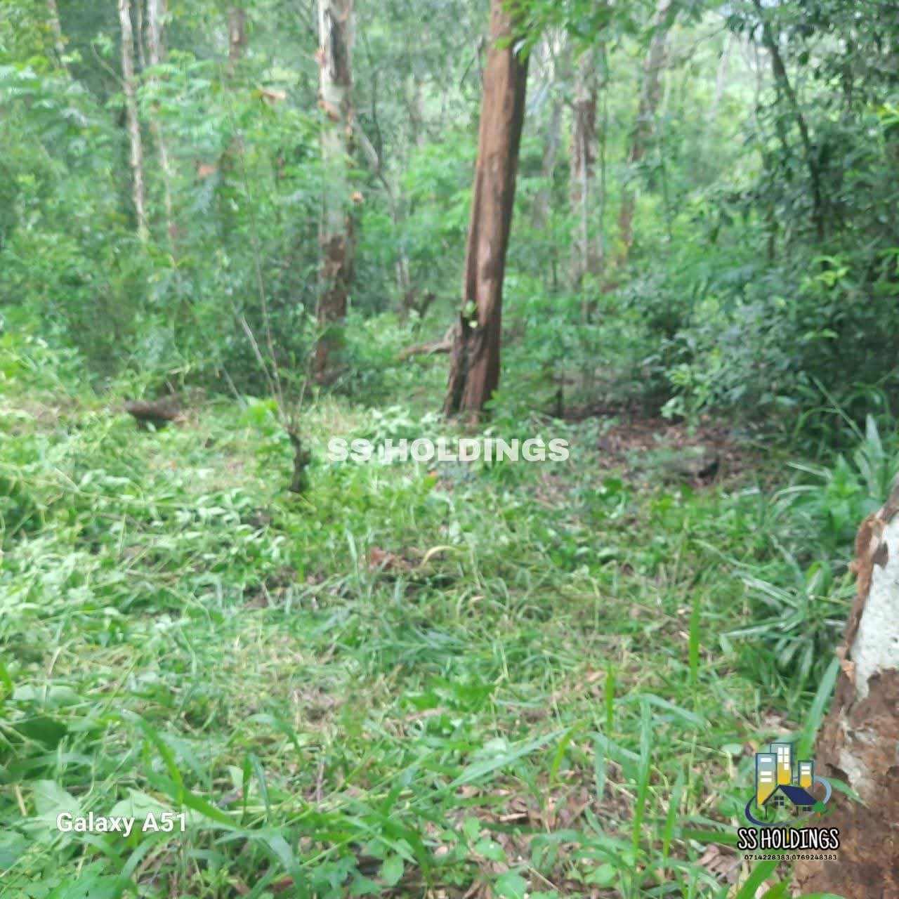 Commercial Land for Sale in Bogahakumbura