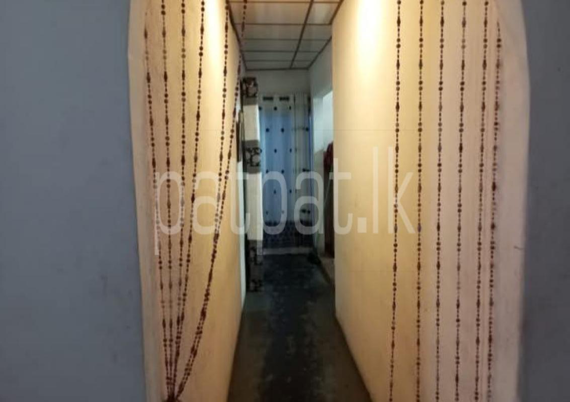 Advertisement image 6