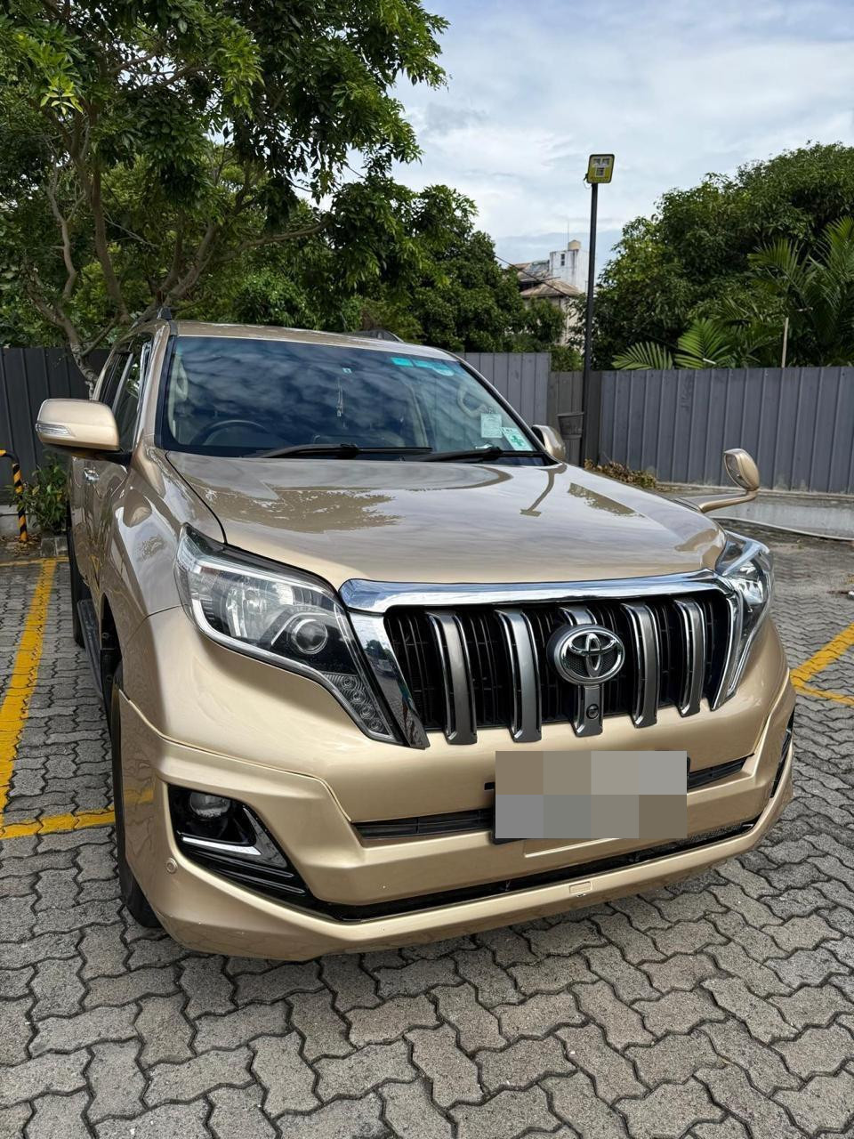 Toyota Land Cruiser 2010 - Used SUV sale in Sri Lanka - patpat.lk