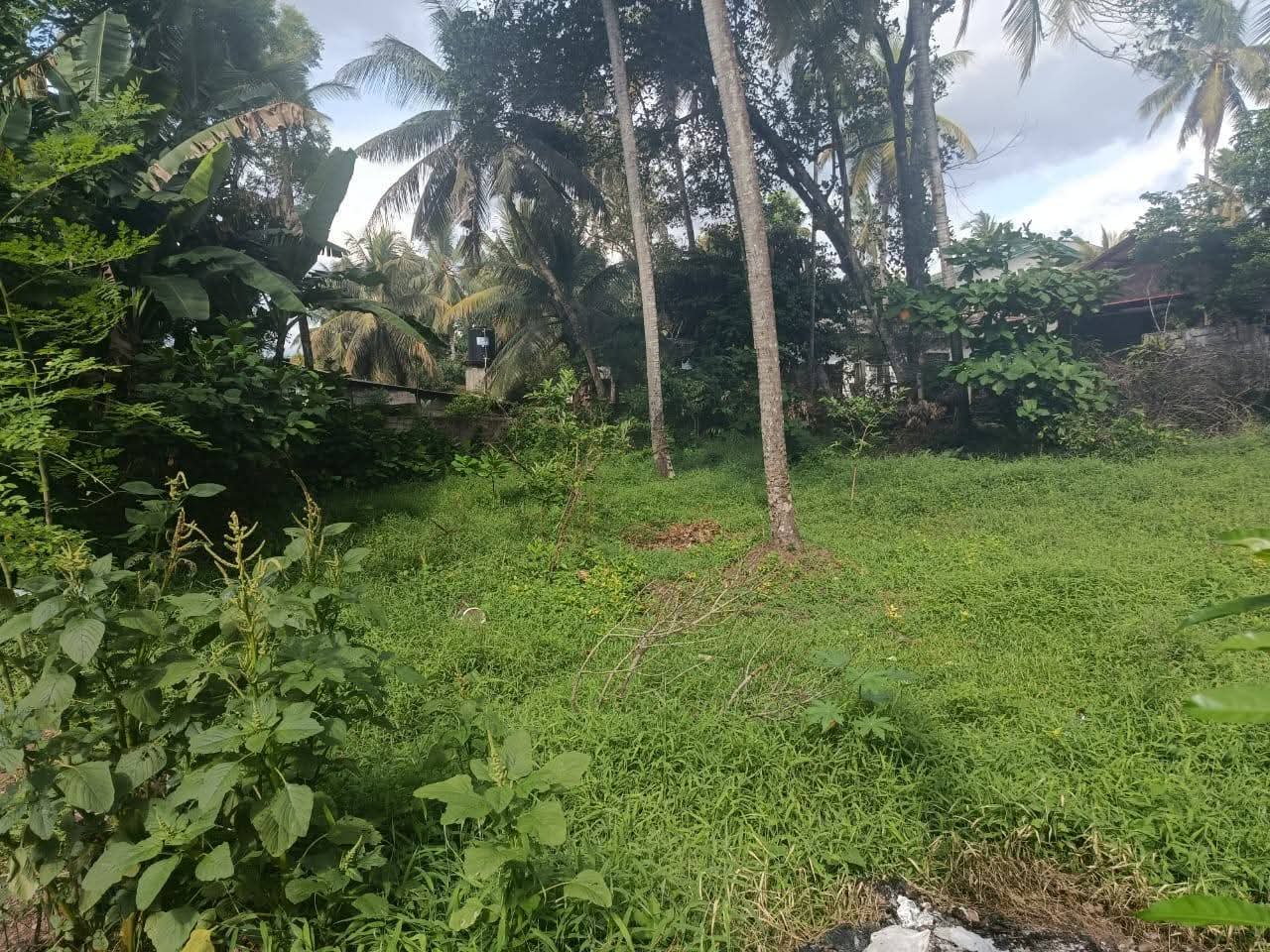 Agricultural Land for Sale in Kadawatha