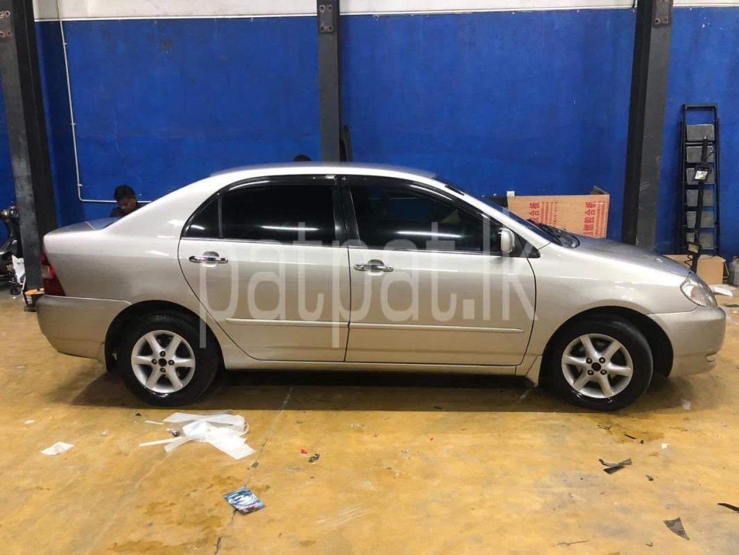 Advertisement image 3