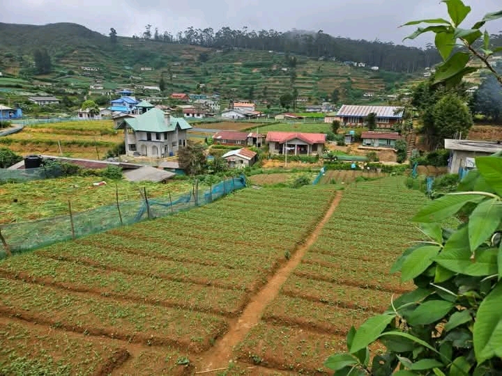 Commercial Land for Sale in Nuwara Eliya