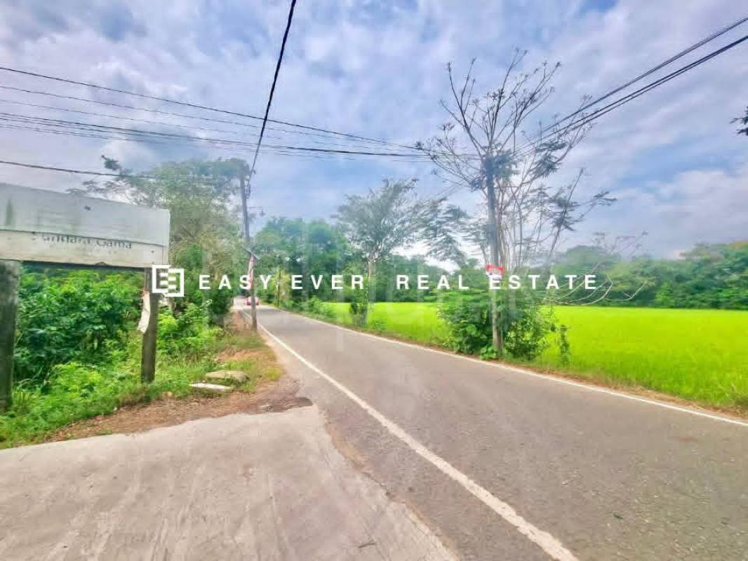 Residential Land for Sale in Gampaha