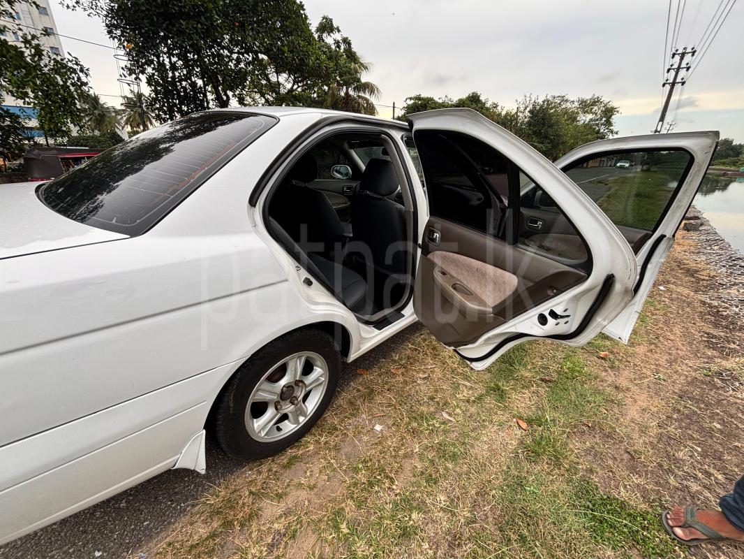 Advertisement image 2