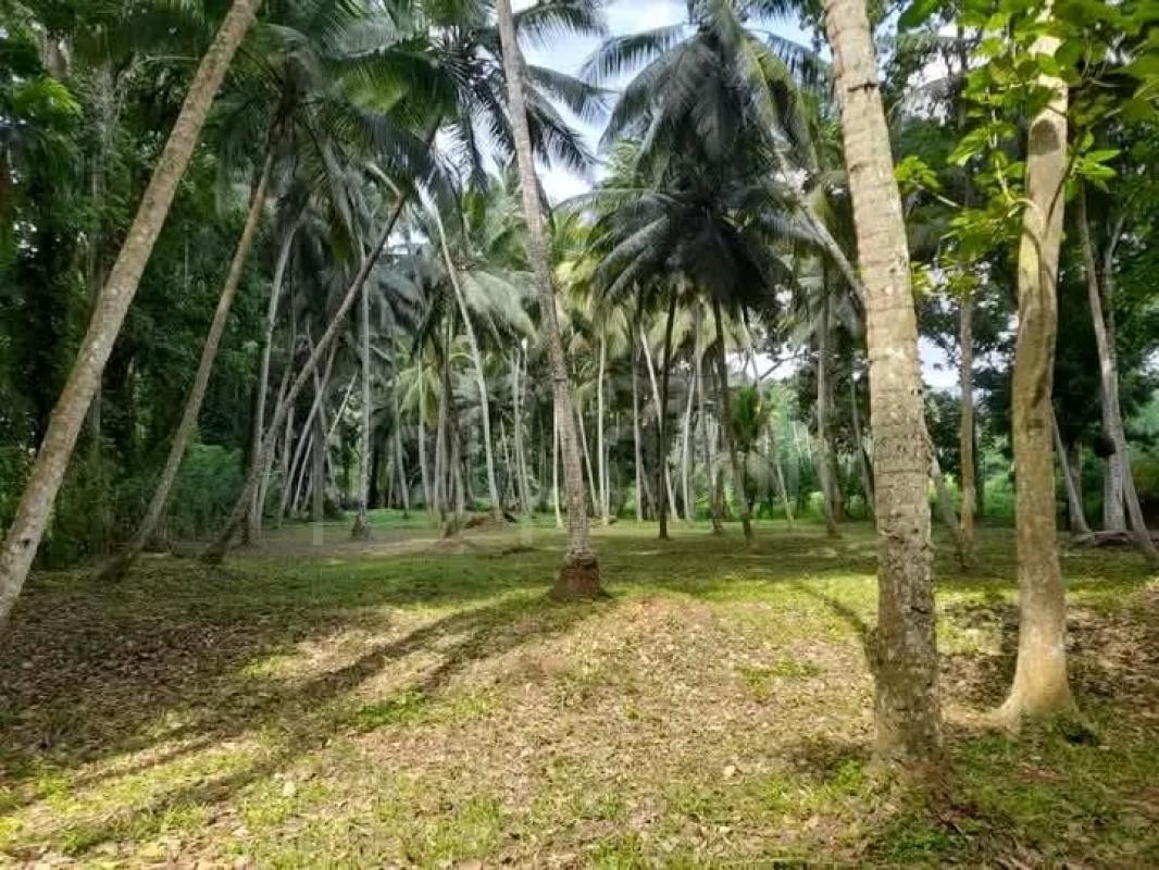 Residential Land for Sale in Kegalle ads-image-1