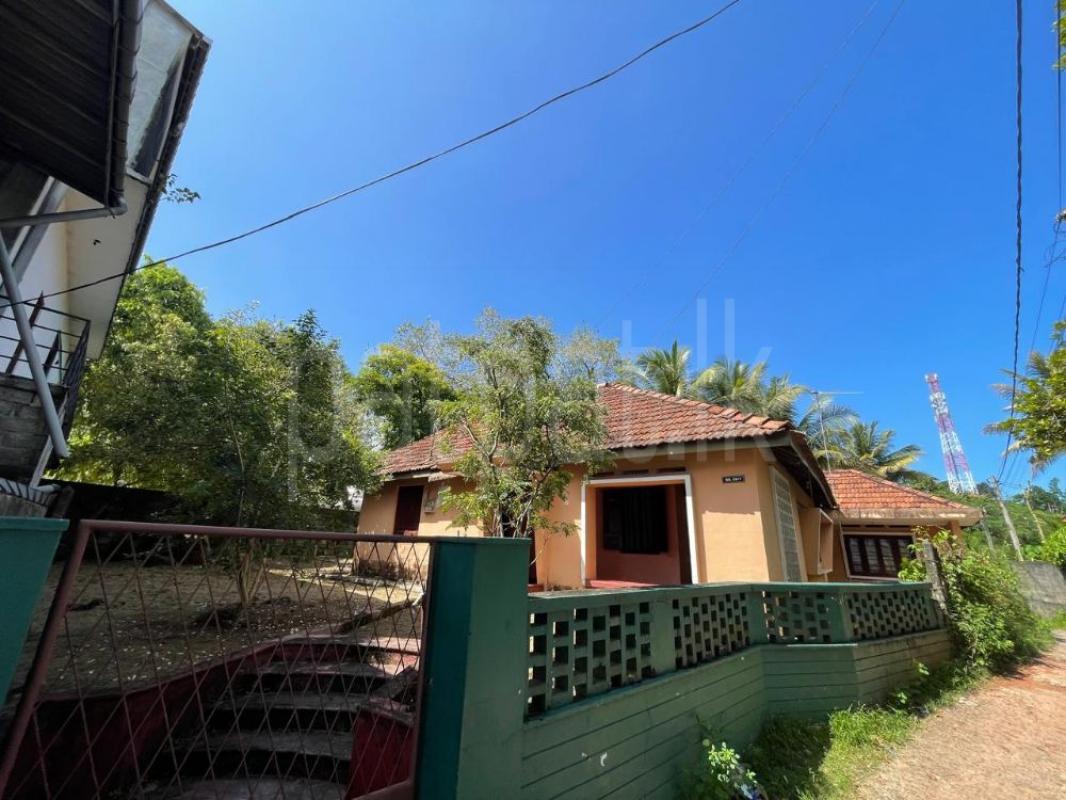 Commercial Land for Sale in Ambalangoda ads-image-1