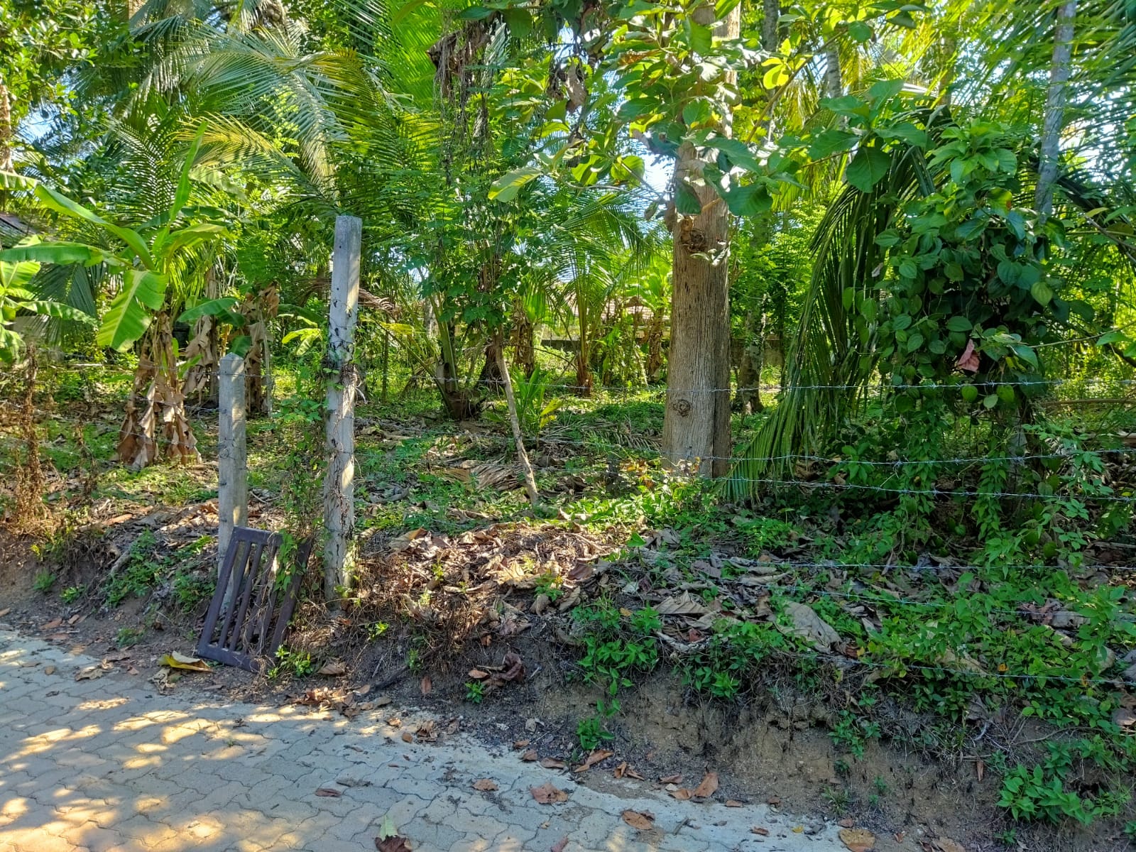 Residential Land for Sale in Panadura