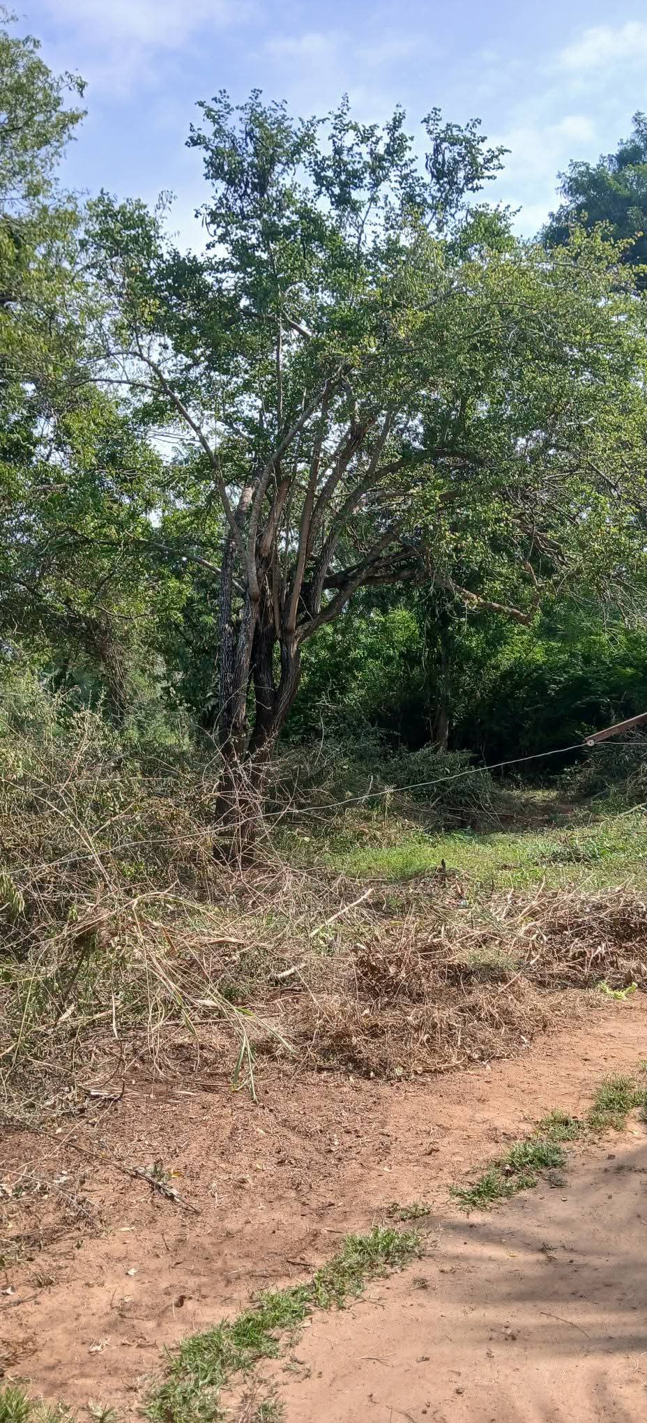 Residential Land for Sale in Kataragama