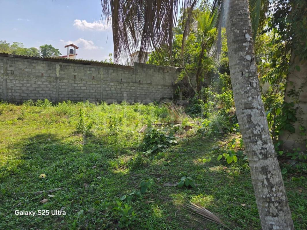 Residential Land for Sale in Gampaha ads-image-1