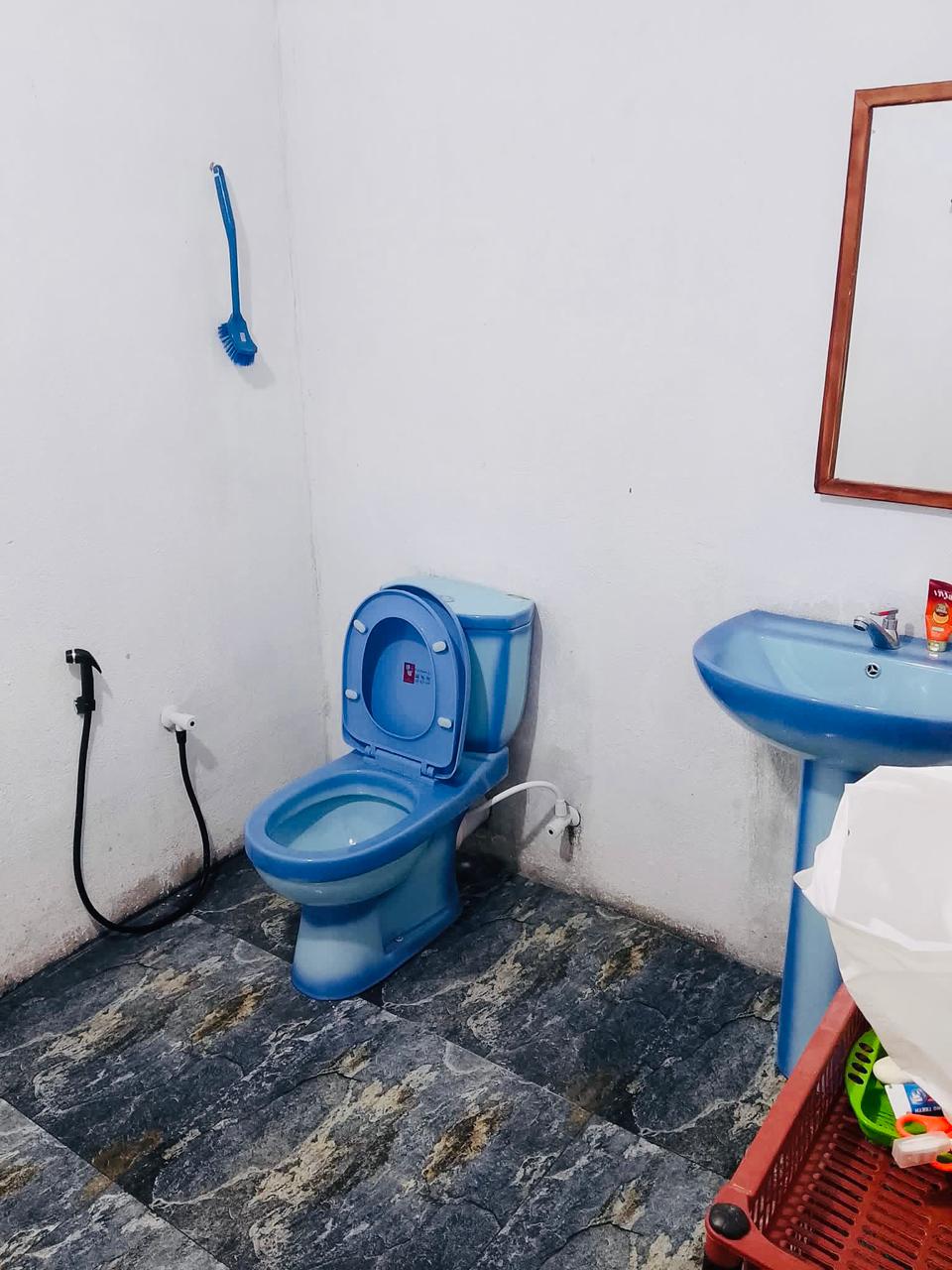 House for Sale in Embilipitiya ads-image-1