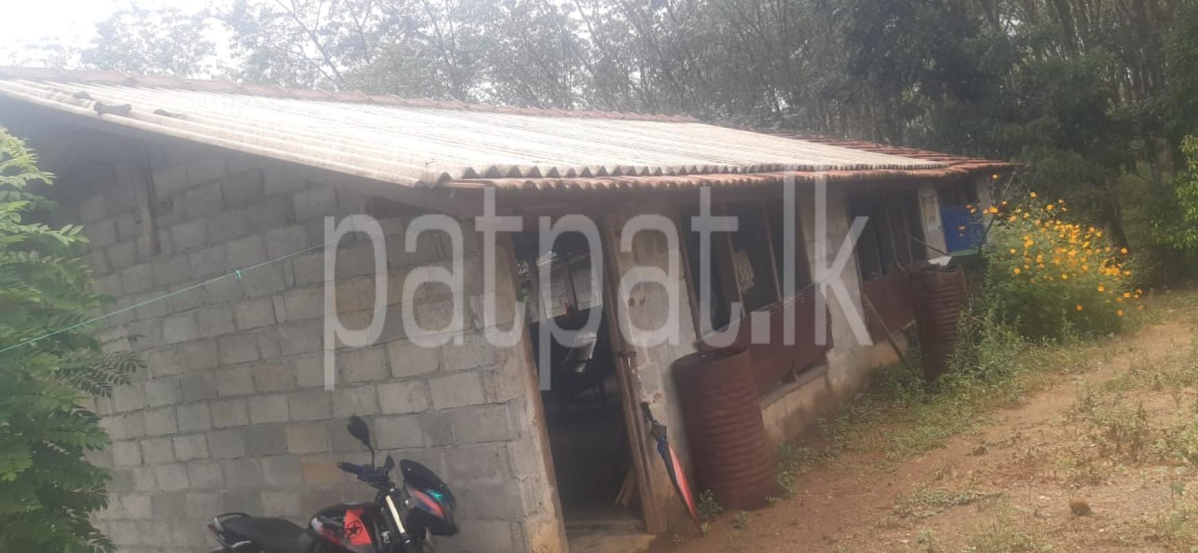 Commercial Land for Sale in Ambepussa