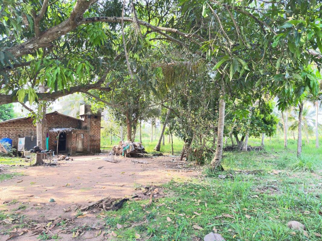 House for Sale in Anuradhapura