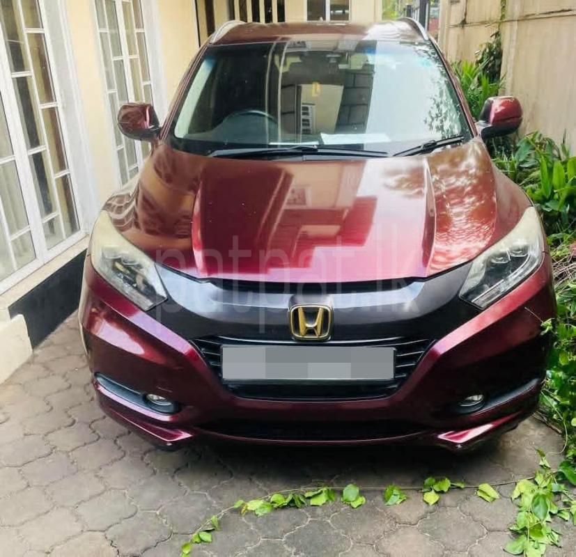 Advertisement image 1