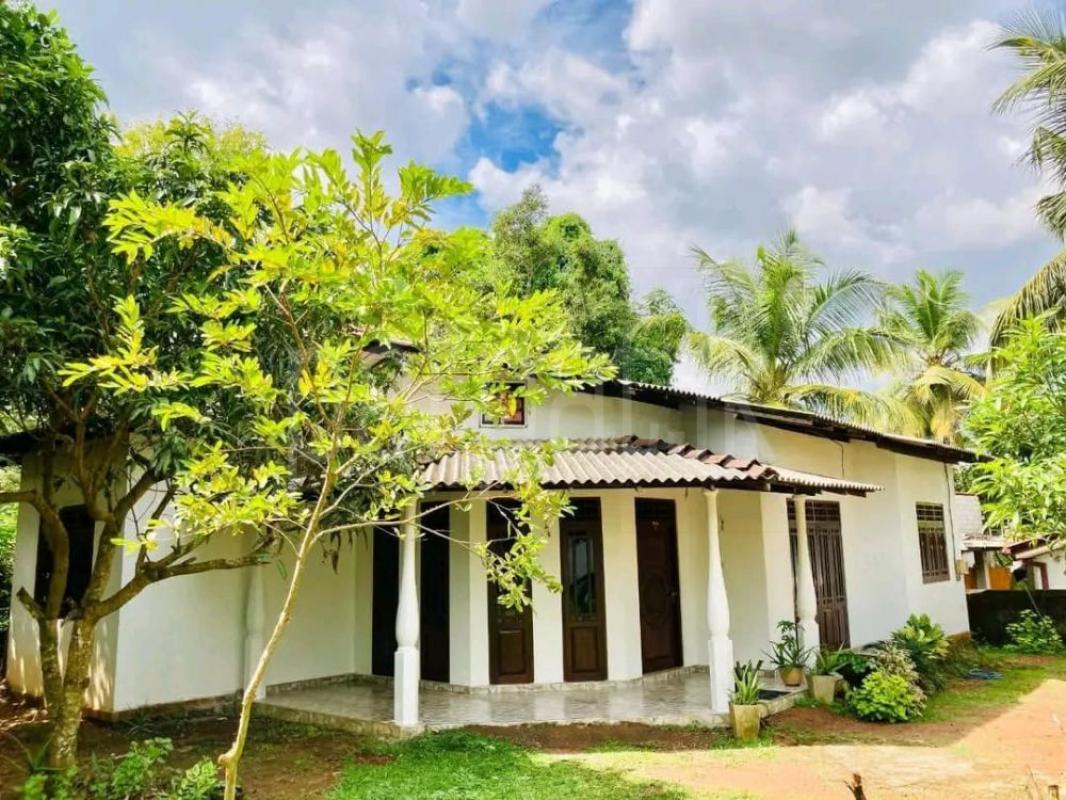 House for Sale in Kandana ads-image-1