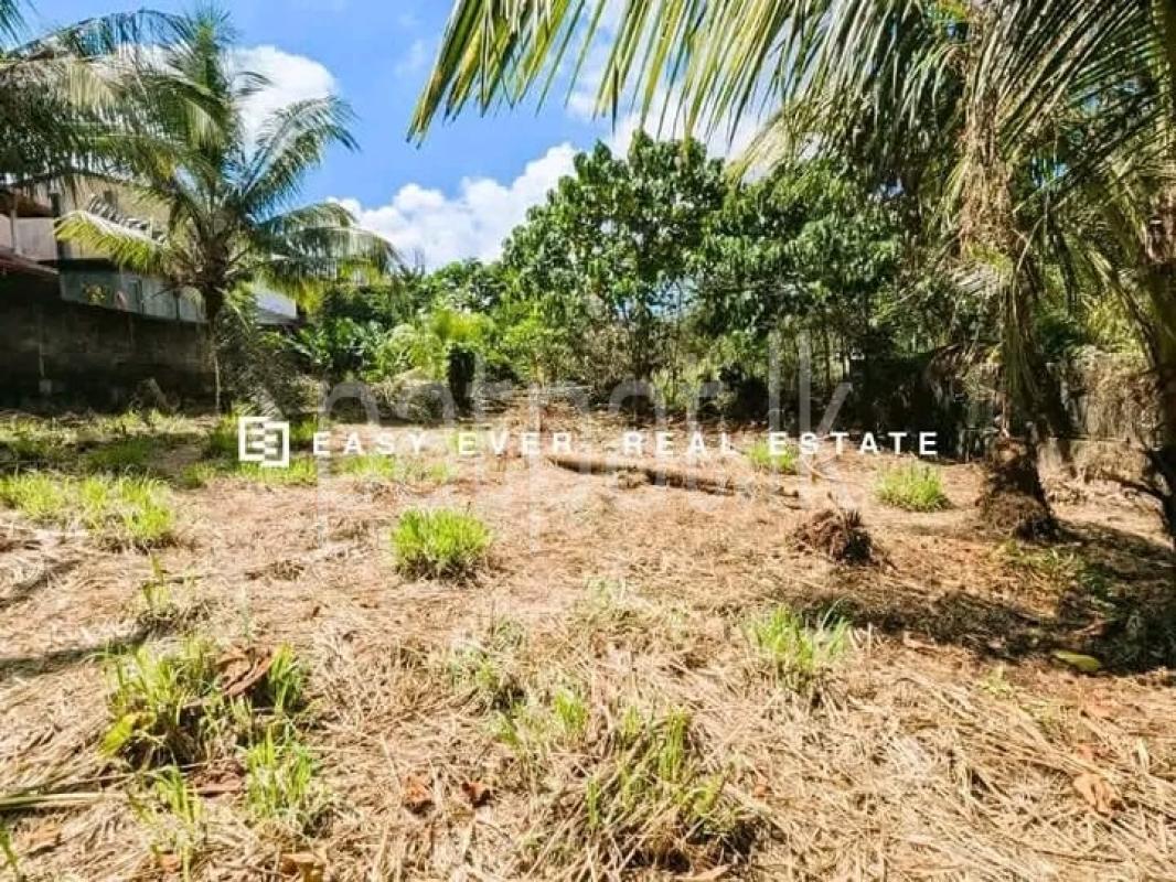 Agricultural Land for Sale in Gampaha ads-image-1