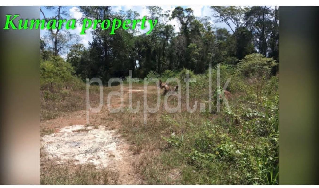 Residential Land for Sale in Panadura