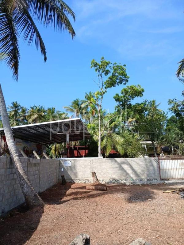 Advertisement image 4