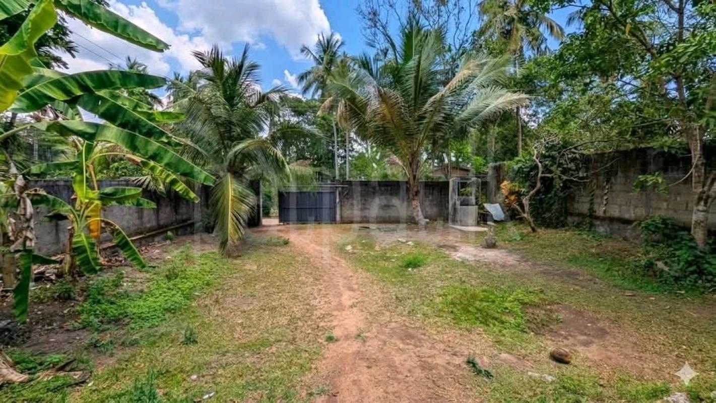 Residential Land for Sale in Kandana