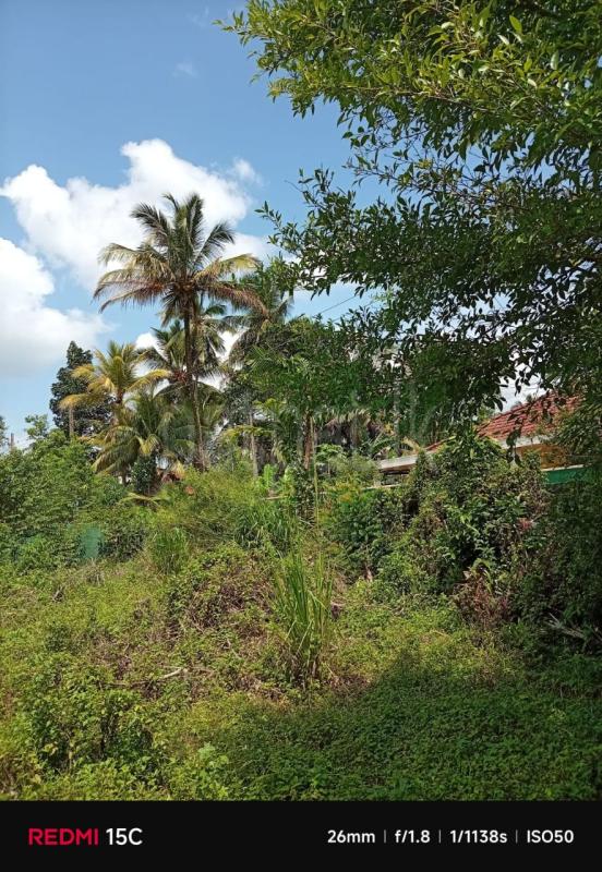 Residential Land for Sale in Gampaha