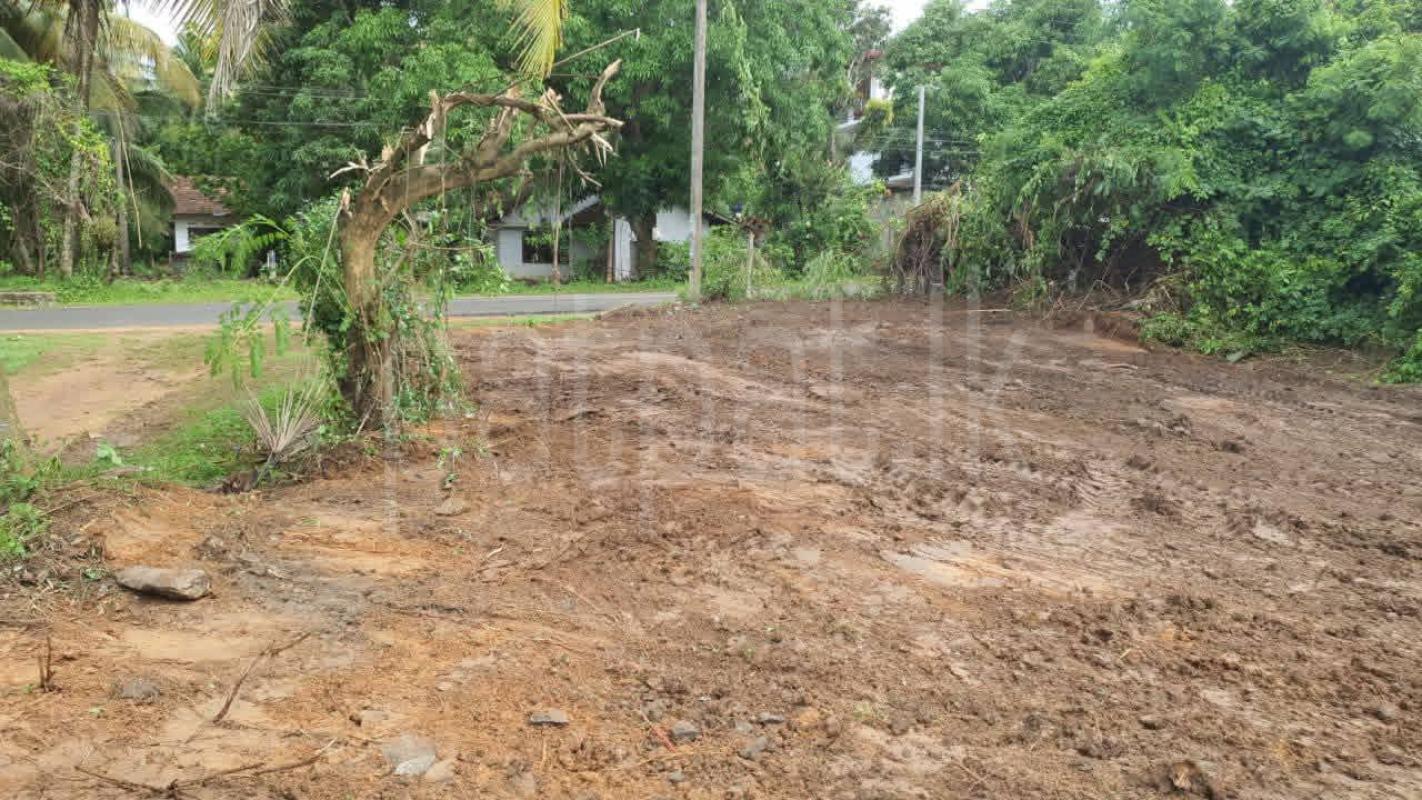 Residential Land for Sale in Walasmulla ads-image-1