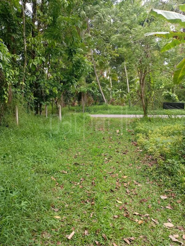 Residential Land for Sale in Mawathagama