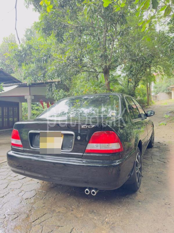 Advertisement image 6