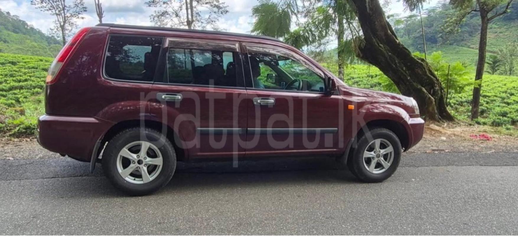 Advertisement image 2