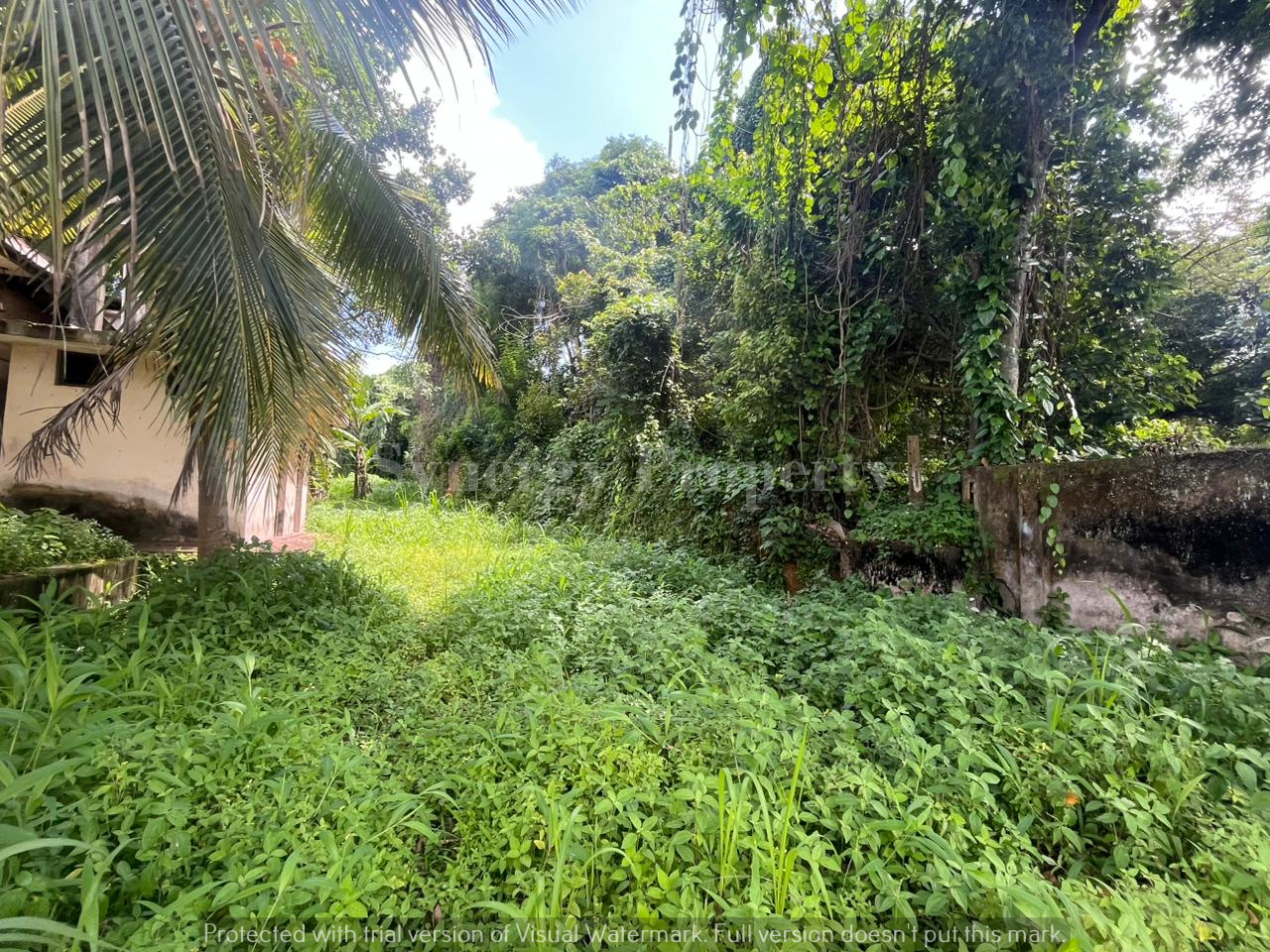 Advertisement image 3