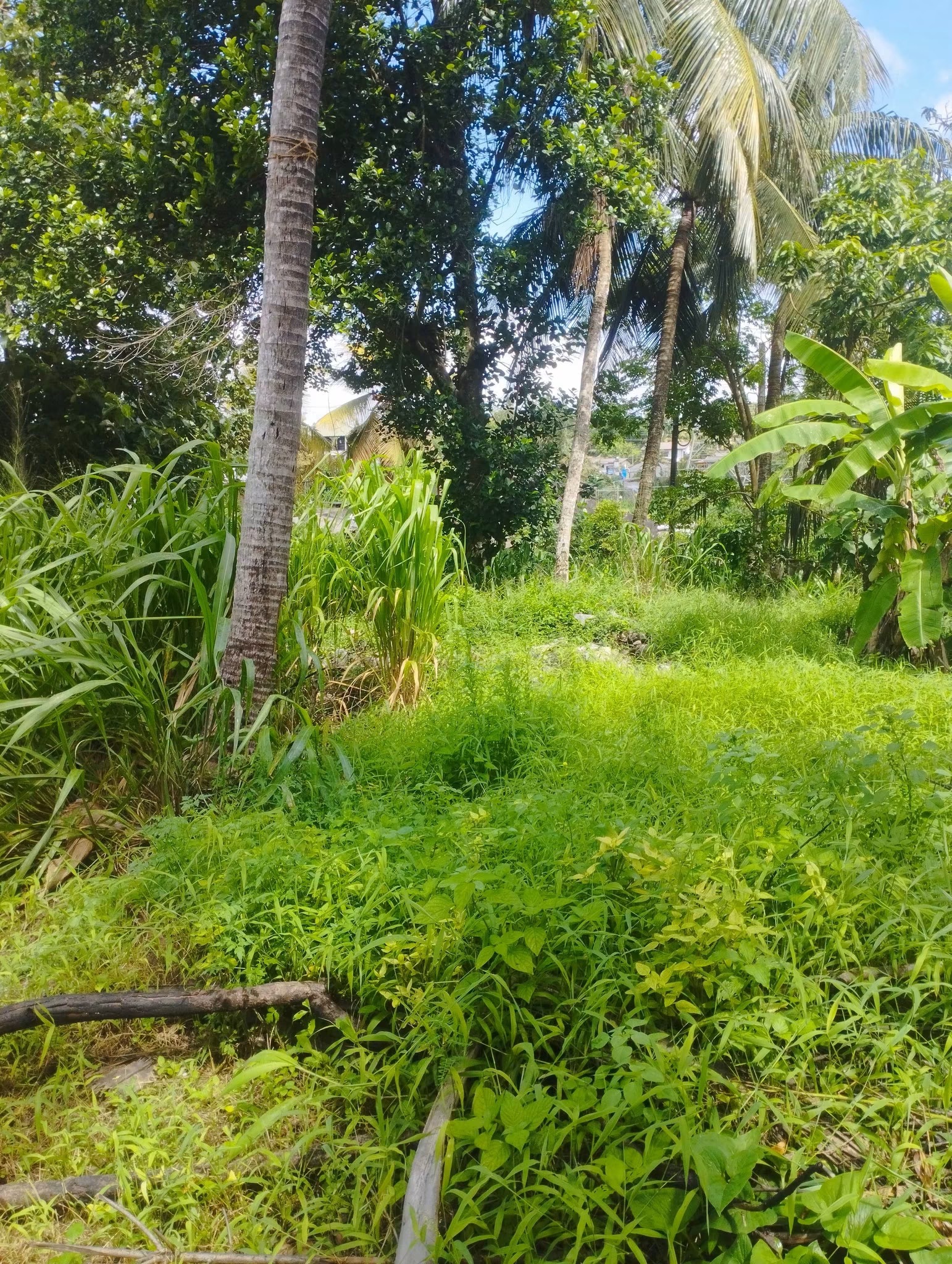 Residential Land for Sale in Pannipitiya