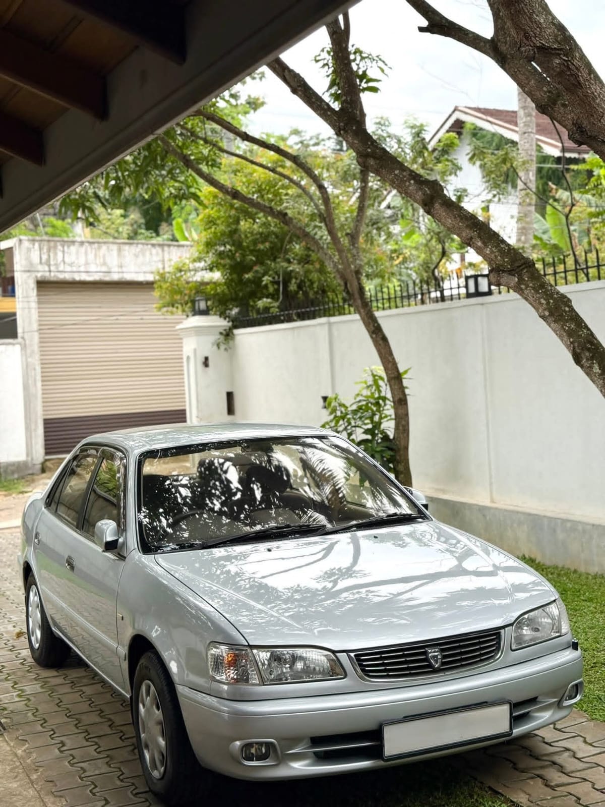 Advertisement image 2