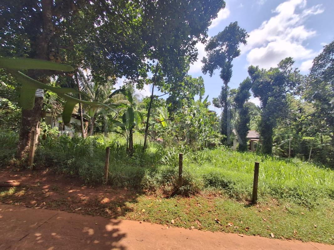 Commercial Land for Sale in Matale