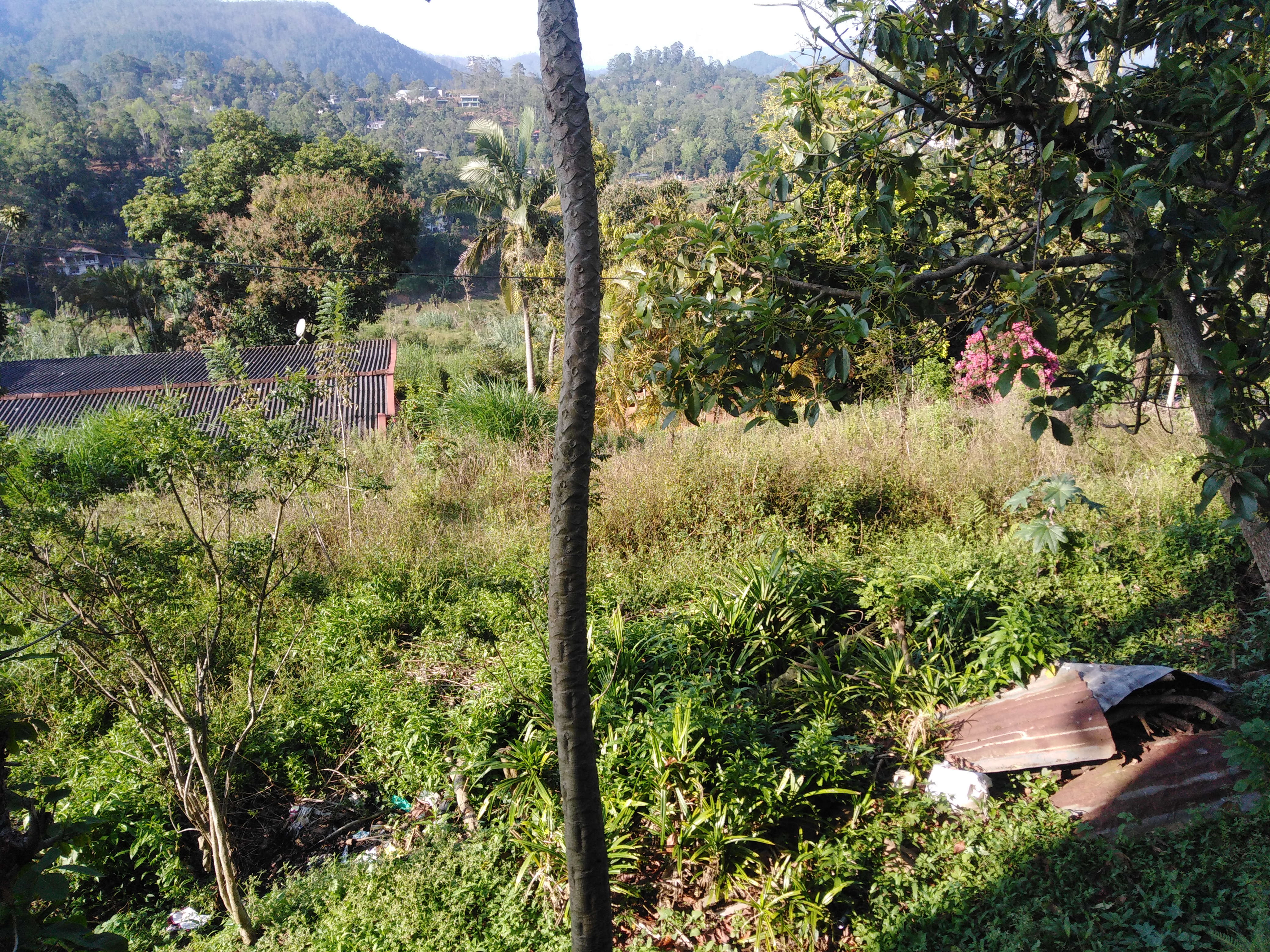 Residential Land for Sale in Bandarawela ads-image-1