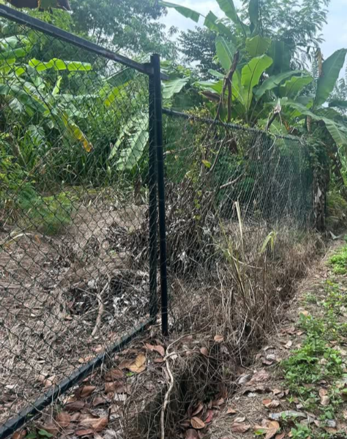 Residential Land for Sale in Kottawa