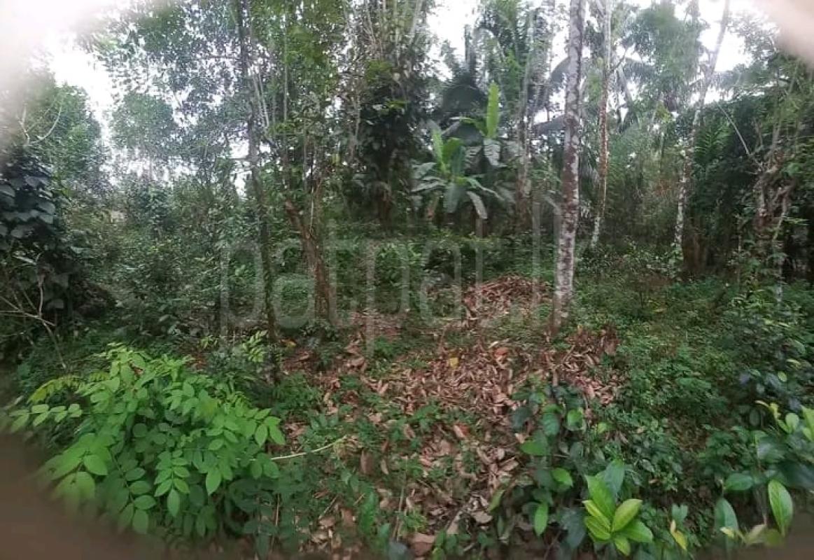 Commercial Land for Sale in Agalawatta ads-image-1