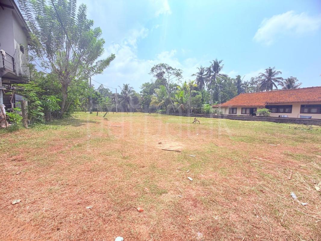 Commercial Land for Sale in Karapitiya