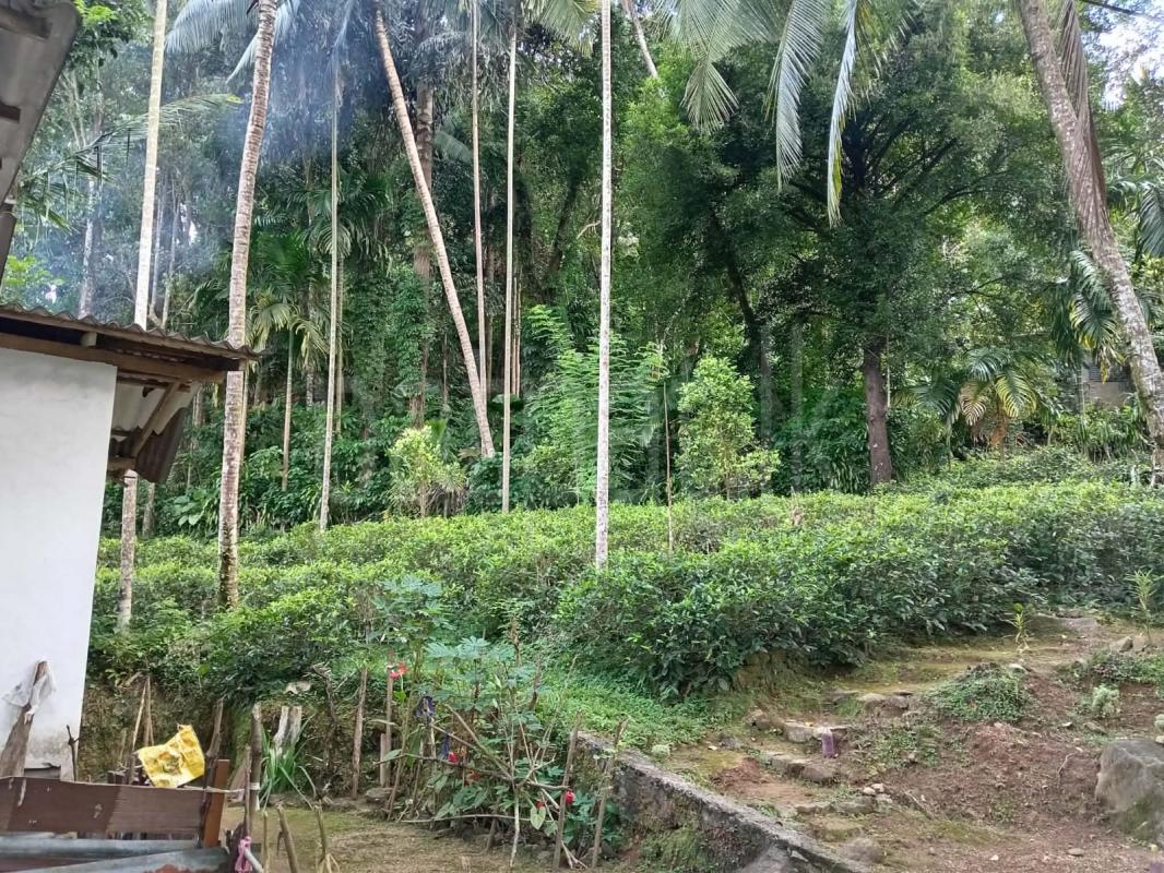 House for Sale in Bulathkohupitiya