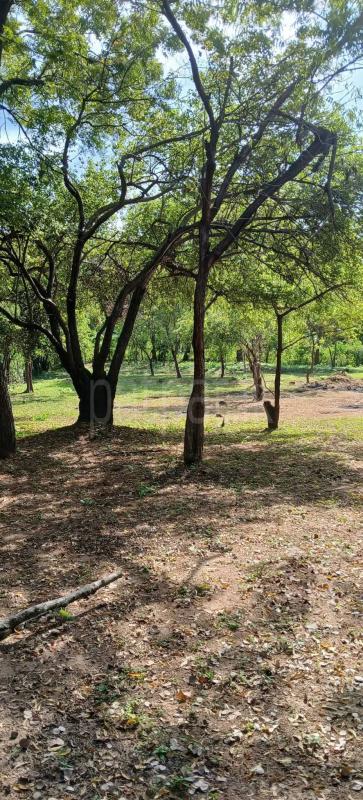 Residential Land for Sale in Kataragama