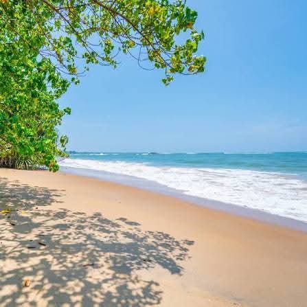 Commercial Land for Sale in Matara