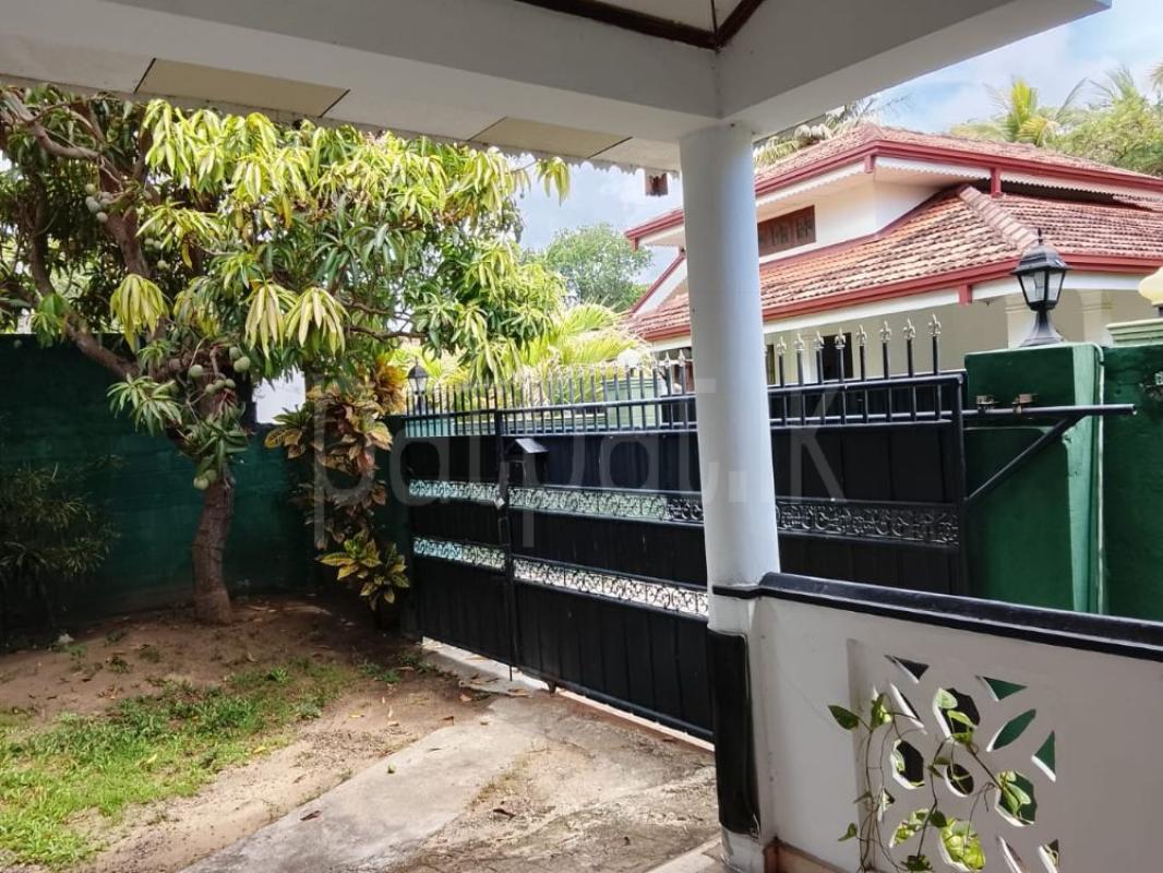 premium-listing-image