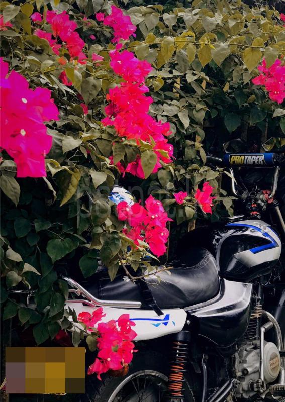 Advertisement image 5