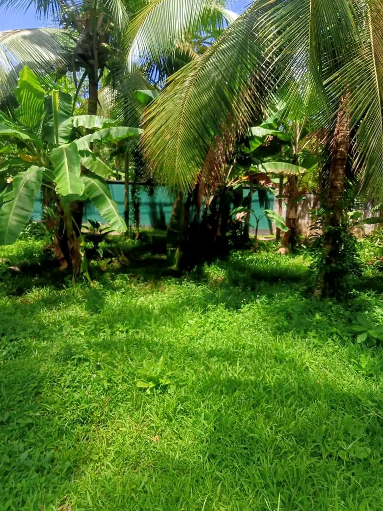 ads-image-1