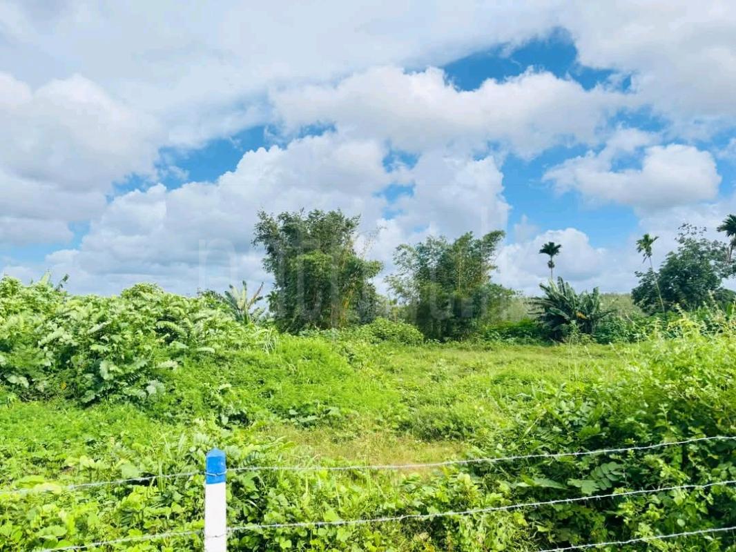 Residential Land for Sale in Padukka ads-image-1